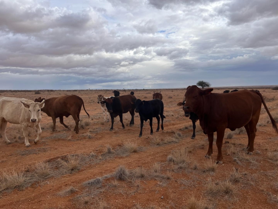 1 Bedroom Property for Sale in Kenhardt Northern Cape